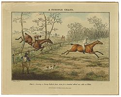 henry thomas alken a steeple chase plate  covering a strong bullock fence down for a hundred without any odds on white