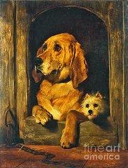 Dignity and impudence sir edwin henry landseer