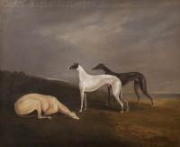 Edwin cooper 1785 1833 greyhounds