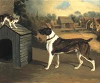 Edwin cooper dog frightening a cat on a kennel roof