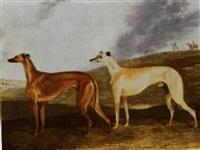 Edwin Cooper greyhounds