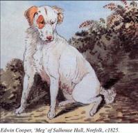 Edwin cooper Meg 1825