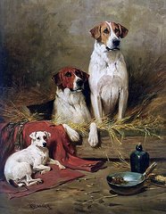 Foxhounds and a terrier john emms