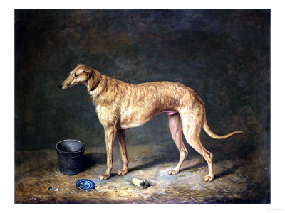 Henry thomas alken a deerhound in a stable interior 1817