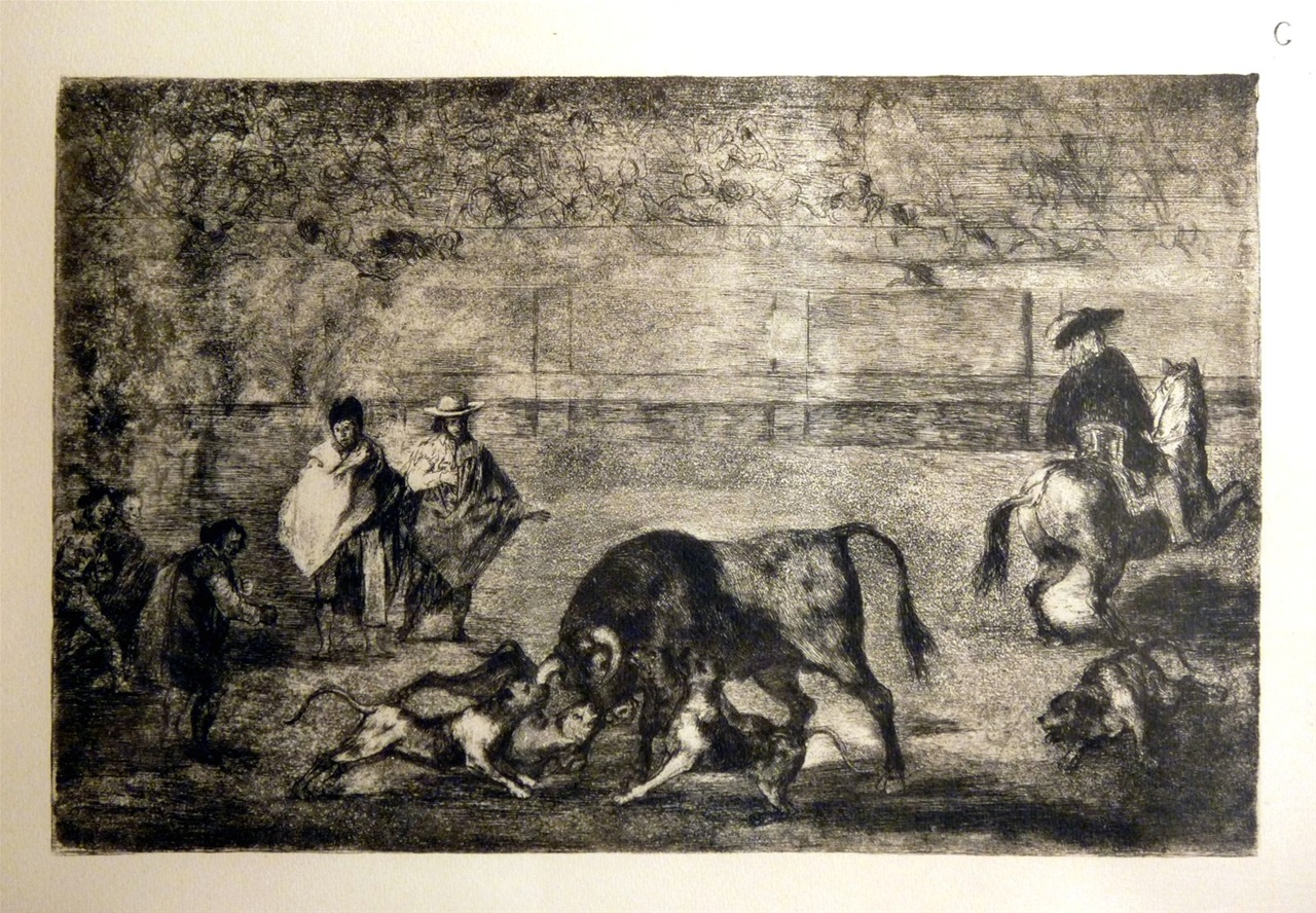 Dogues espagnols avec taureau  Goya 1746-1828