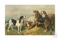 John emms hounds with a hare