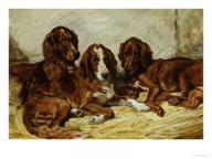 John emms shot and his friends three irish red and white setters 1876