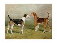 John emms two hounds in a landscape