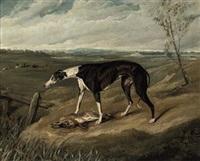 Sir edwin henry landseer a greyhound with a hare