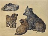 Sir edwin henry landseer a terrier with her puppies and a kitten