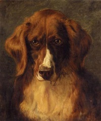Sir edwin henry landseer portrait of mrs keyls favourite dog