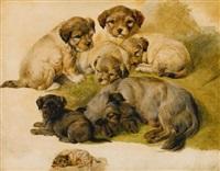 Sir edwin henry landseer study of a terrier and puppies