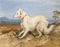 Sir edwin henry landseer white collie in a landscape sketch